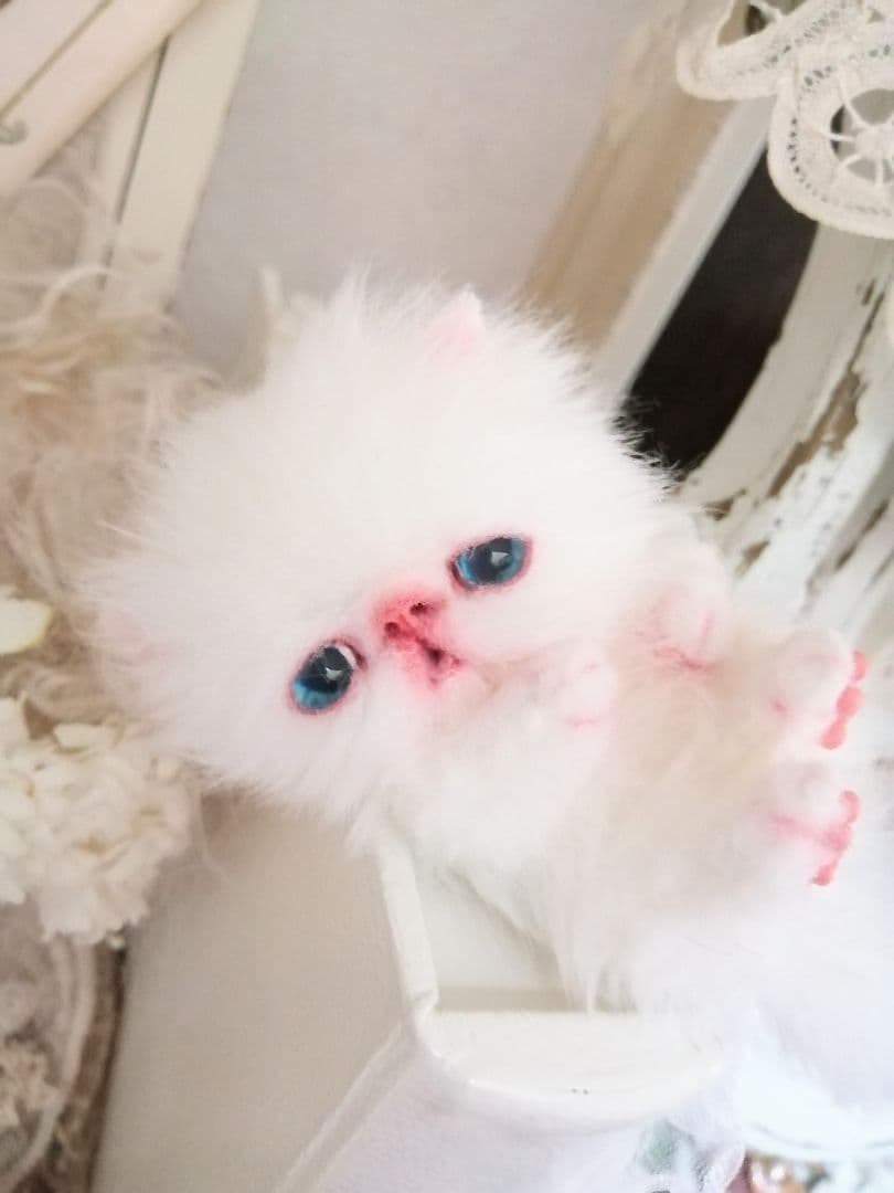 ミニミニ子猫ちゃん♡エキゾチック♡アートドール♡ぬいぐるみ♡