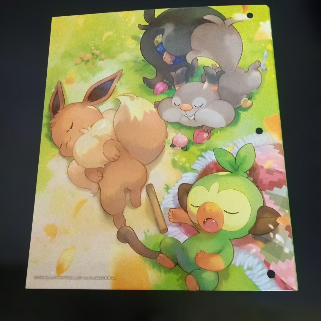 ポケモンカード　ポケカ　まとめ売り　デッキシールド　コレクションファイル付き