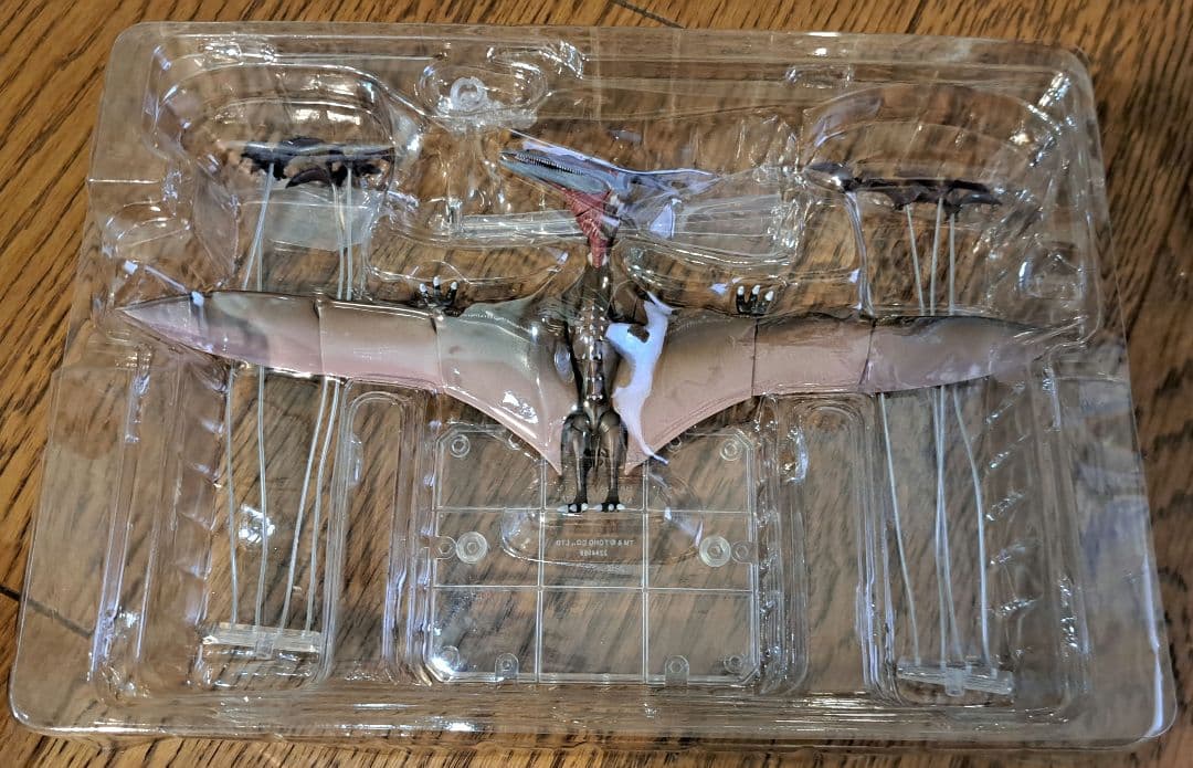 S.H.MonsterArts ラドン (2021) -第2形態-