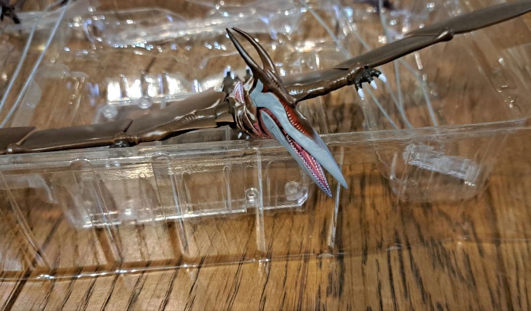 S.H.MonsterArts ラドン (2021) -第2形態-