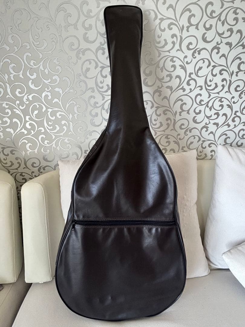 Reed Man RMA-09 アコースティックギター