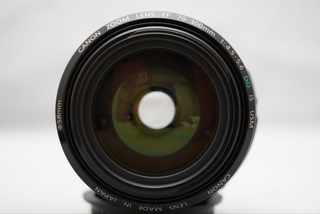 キャノン EF 70-300㎜ F=1:4.5-5.6 DO IS USM