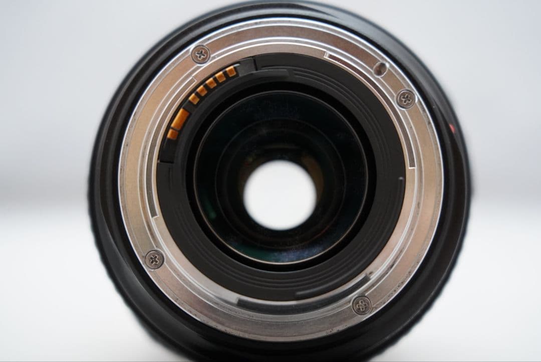 キャノン EF 70-300㎜ F=1:4.5-5.6 DO IS USM