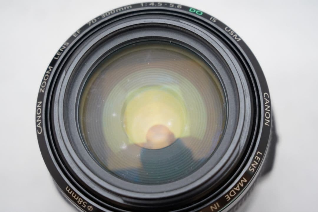 キャノン EF 70-300㎜ F=1:4.5-5.6 DO IS USM