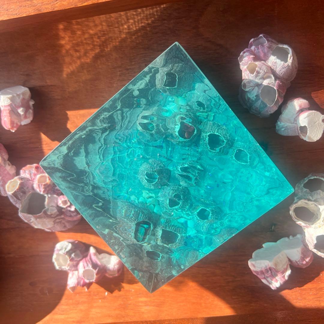 【波紋アート】Real Ocean／barnacle／フジツボ／10cmプリズム