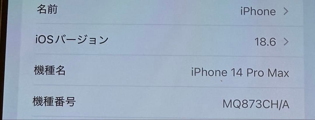 海外版iPhone 14 Pro Max 256GB SIMフリーDualSIM