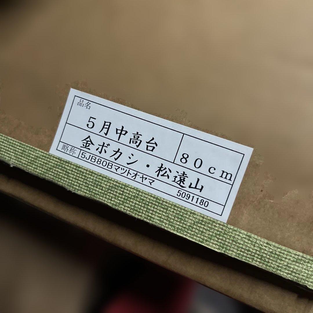 兜飾り一式セット　本金盛上　5月中高台　金ボカシ　松遠山　端午の節句　安価提供