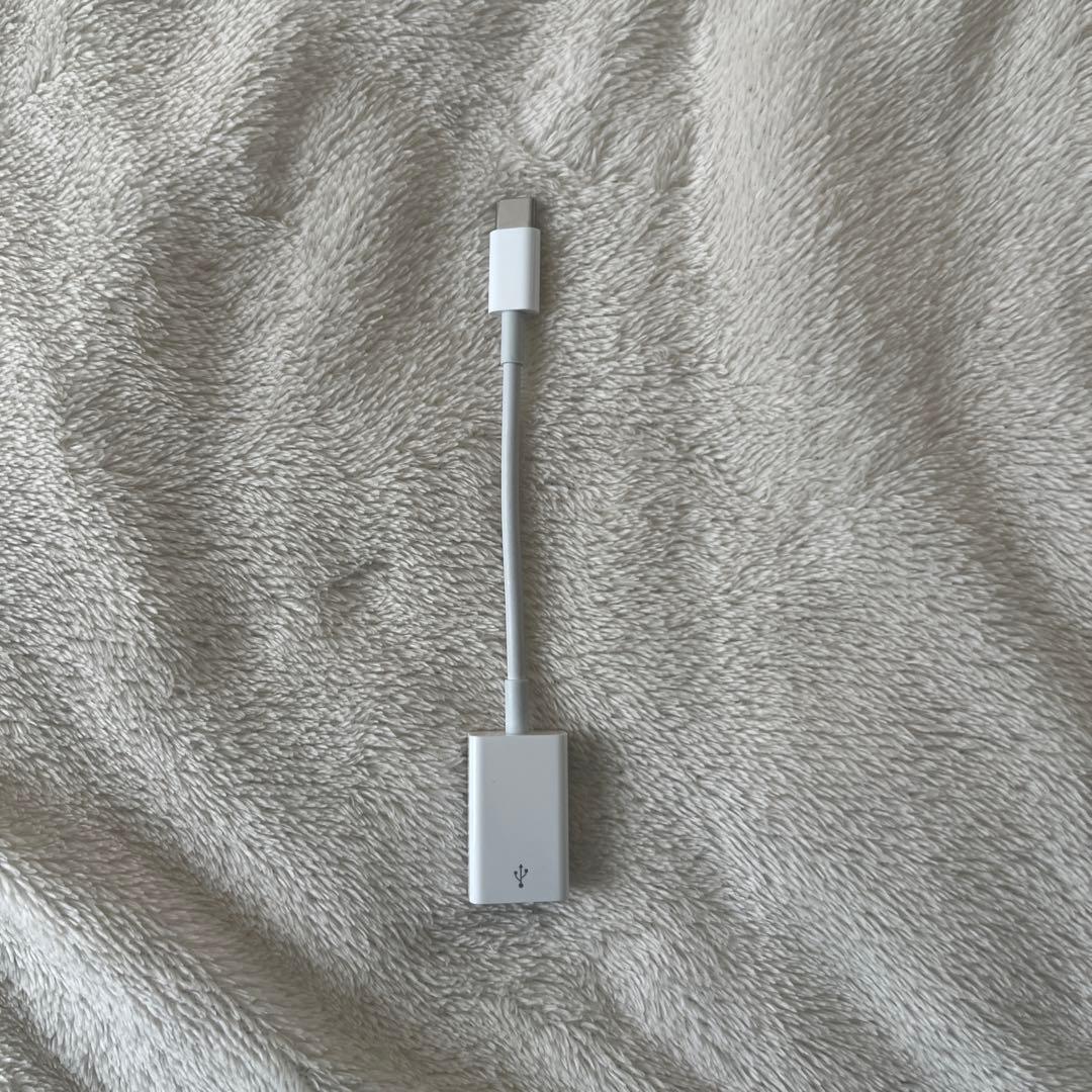 【極美品】MacBookAir M4 13インチ 16GB /256GBシルバー