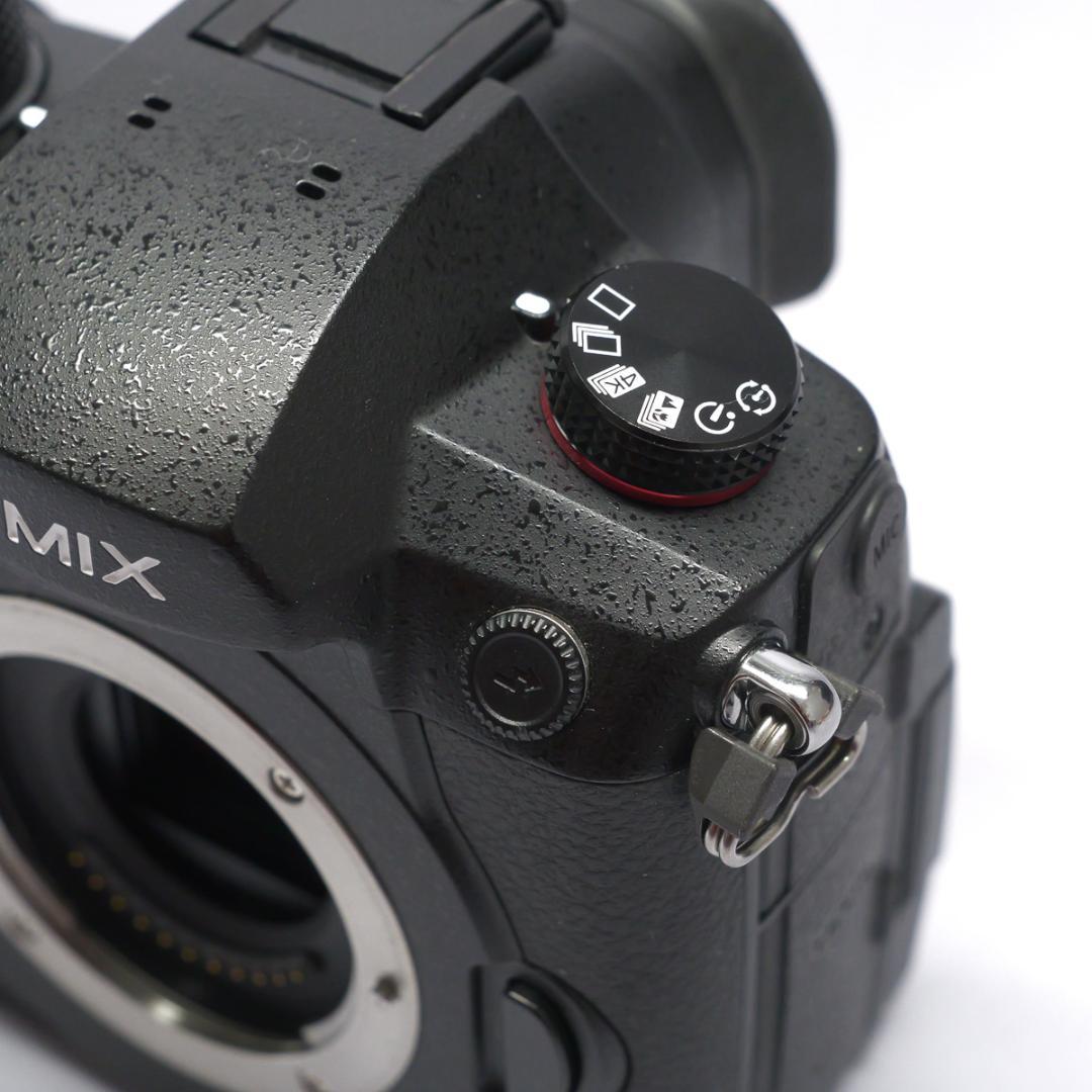 ●LUMIX DC-GH5S ボディ 中古（シャッター回数1861枚）