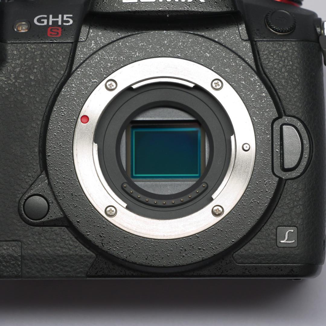 ●LUMIX DC-GH5S ボディ 中古（シャッター回数1861枚）