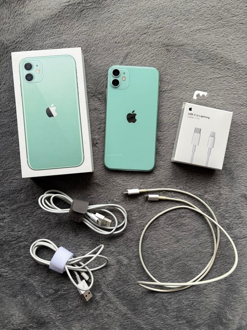 Apple iPhone 11 ミントグリーン 本体 【おまけ : 充電器】