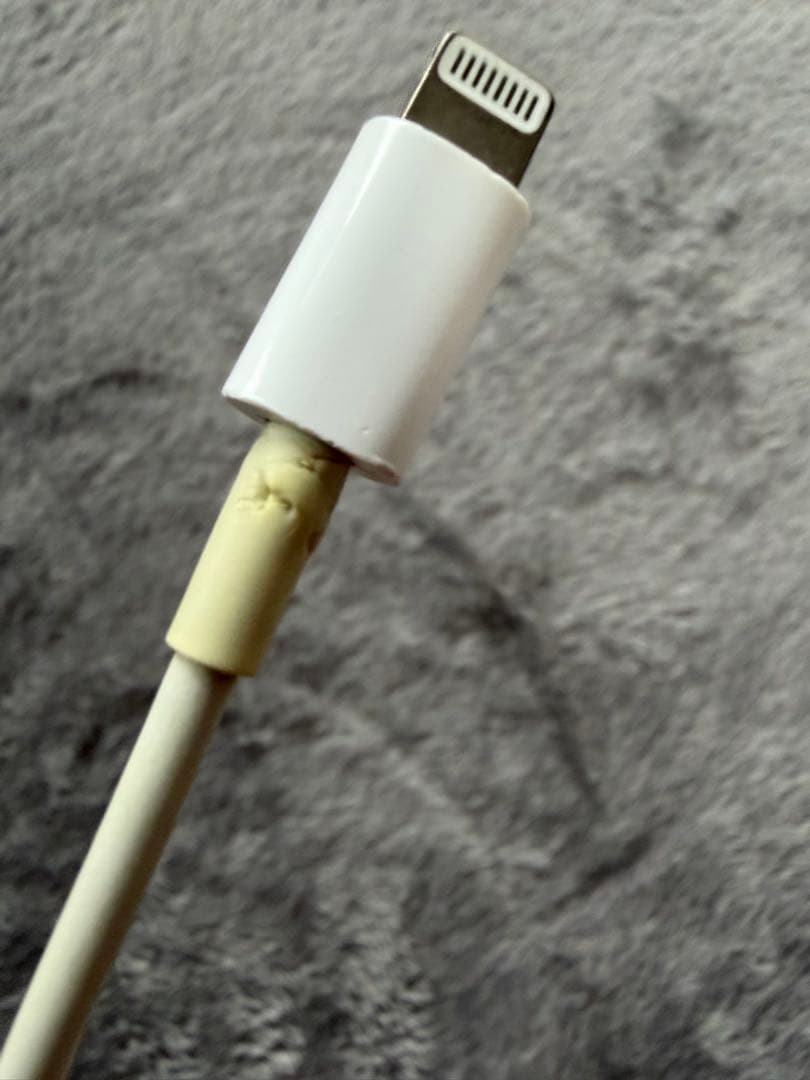 Apple iPhone 11 ミントグリーン 本体 【おまけ : 充電器】