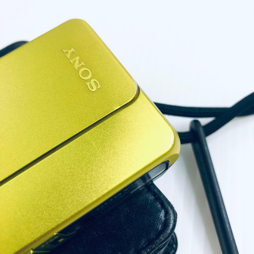 訳有格安【即納】SONY　サイバーショット　DSC-TX10　純正アクセサリー