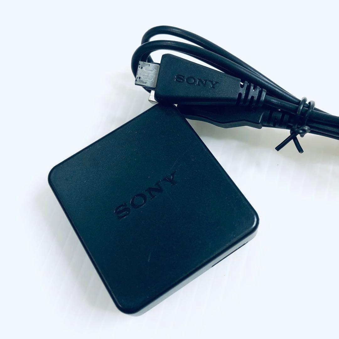 訳有格安【即納】SONY　サイバーショット　DSC-TX10　純正アクセサリー