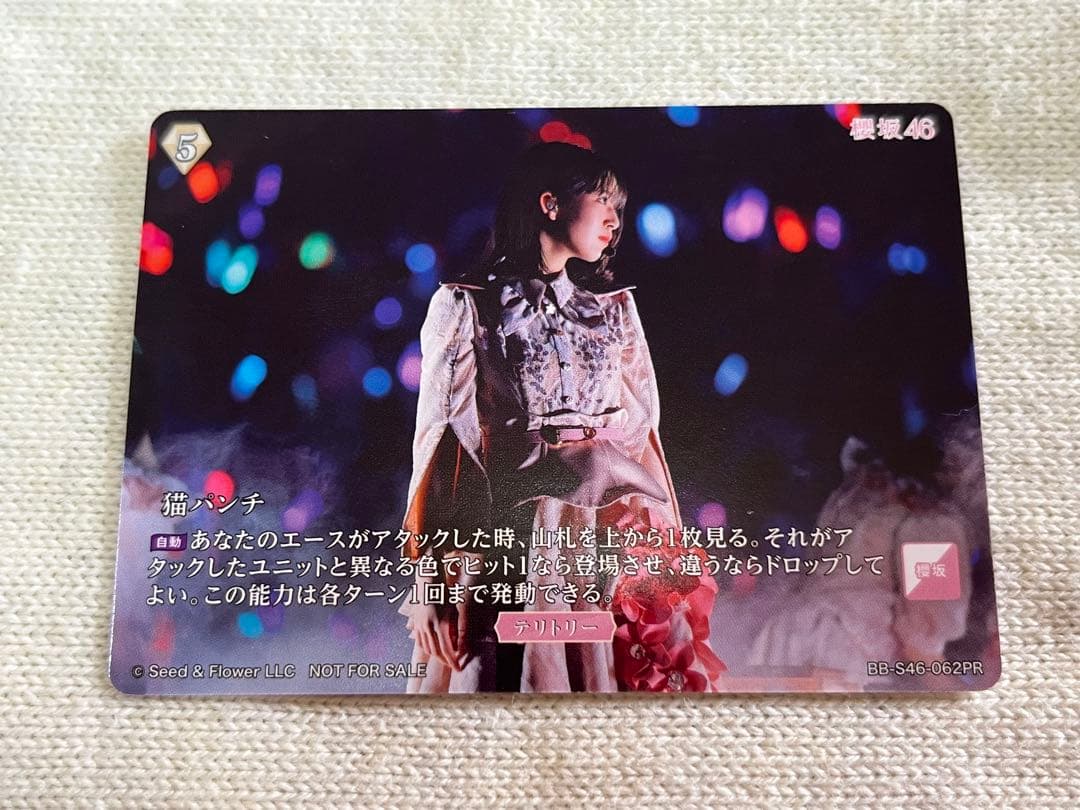 ビルディバイド　櫻坂46 村山美羽　テリトリー　猫パンチ　プロモ