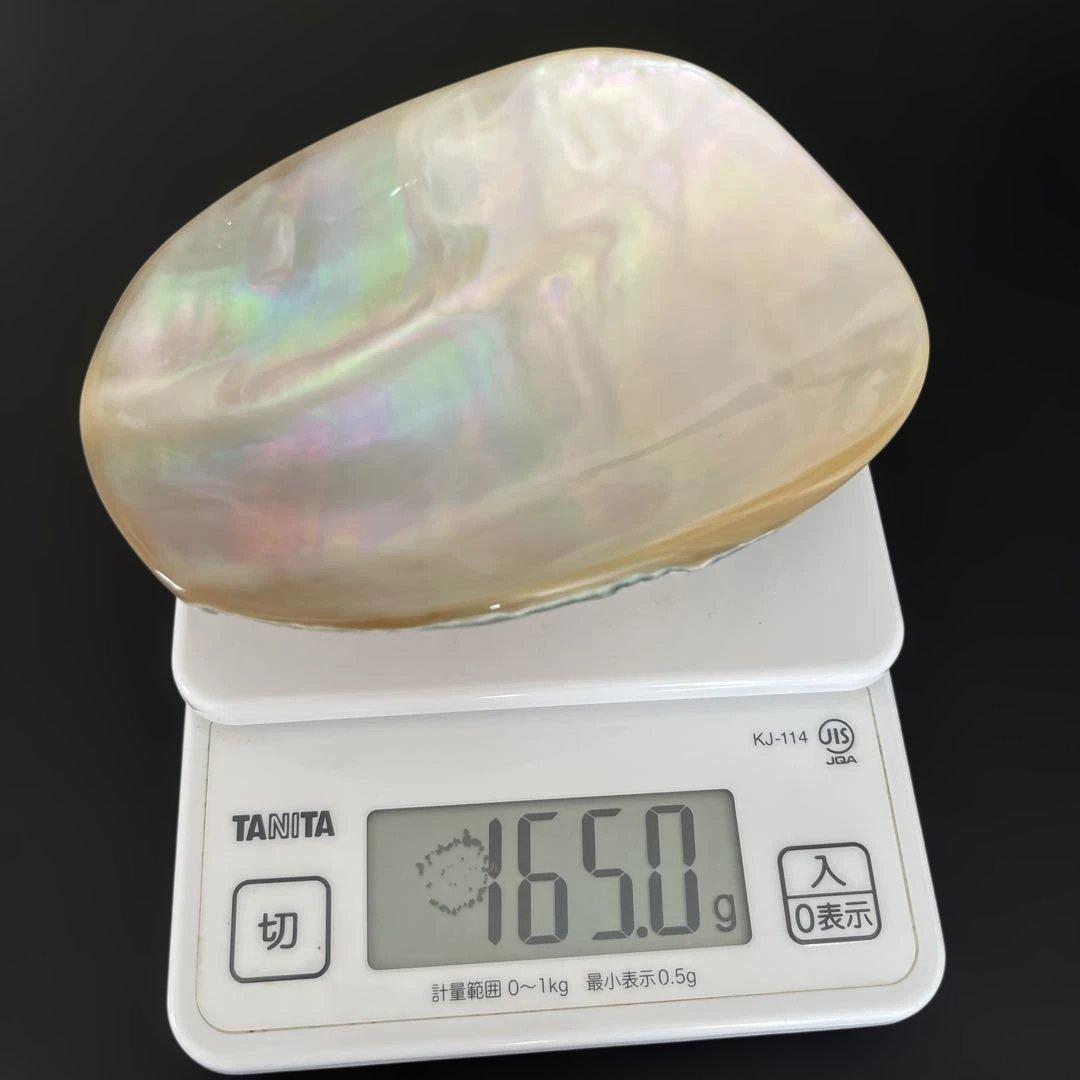夜光貝の小物入れ（3）