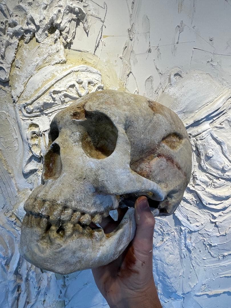 ネアンデルタール人の頭蓋骨、レプリカ。