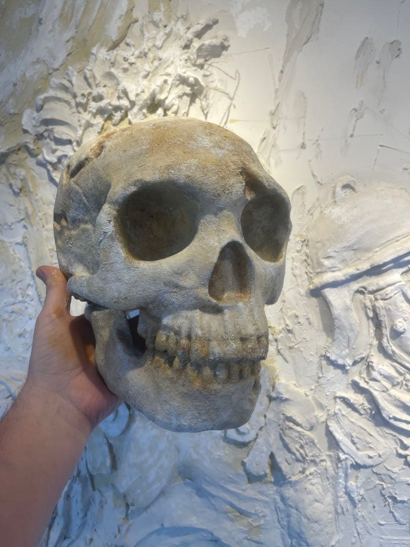ネアンデルタール人の頭蓋骨、レプリカ。