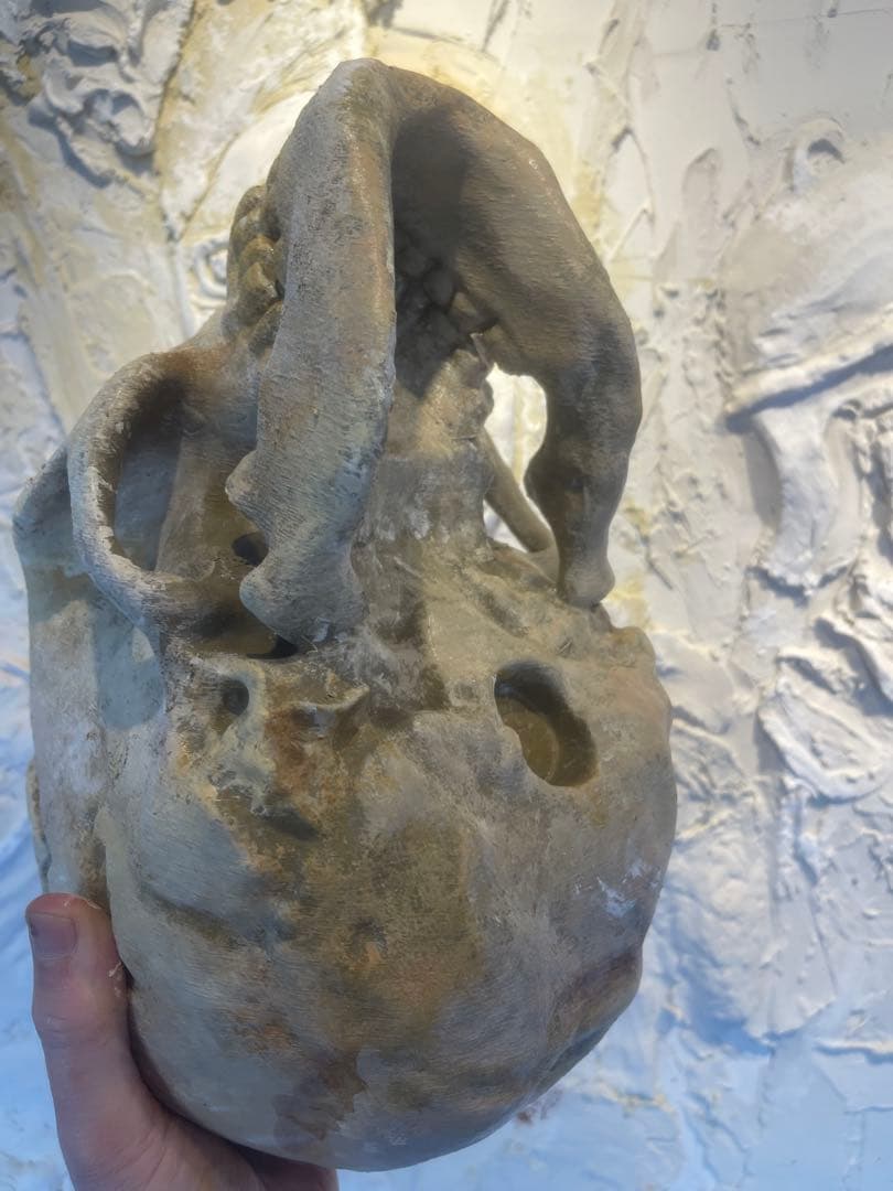 ネアンデルタール人の頭蓋骨、レプリカ。