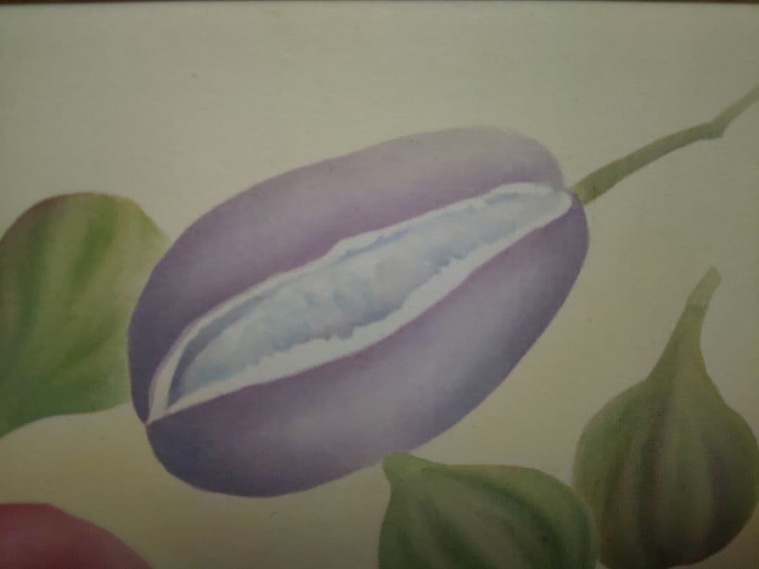 絵画 額縁付き 絹本 アケビとイチジク