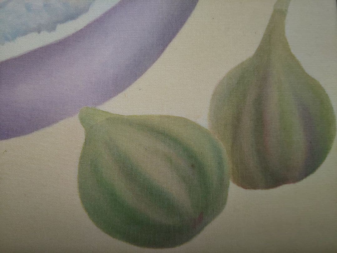 絵画 額縁付き 絹本 アケビとイチジク