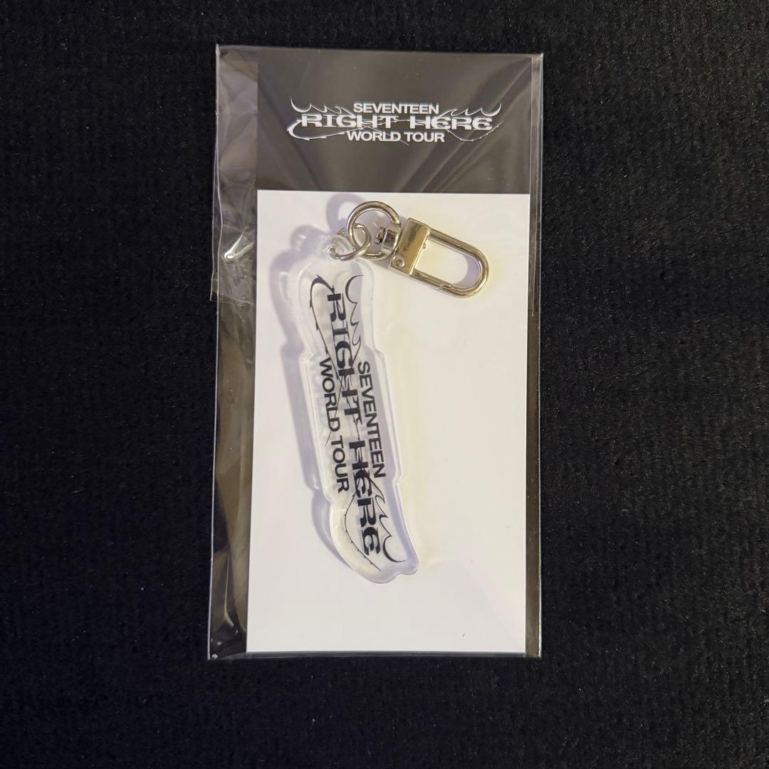 SEVENTEEN RIGHT HERE package gift 抜けなし