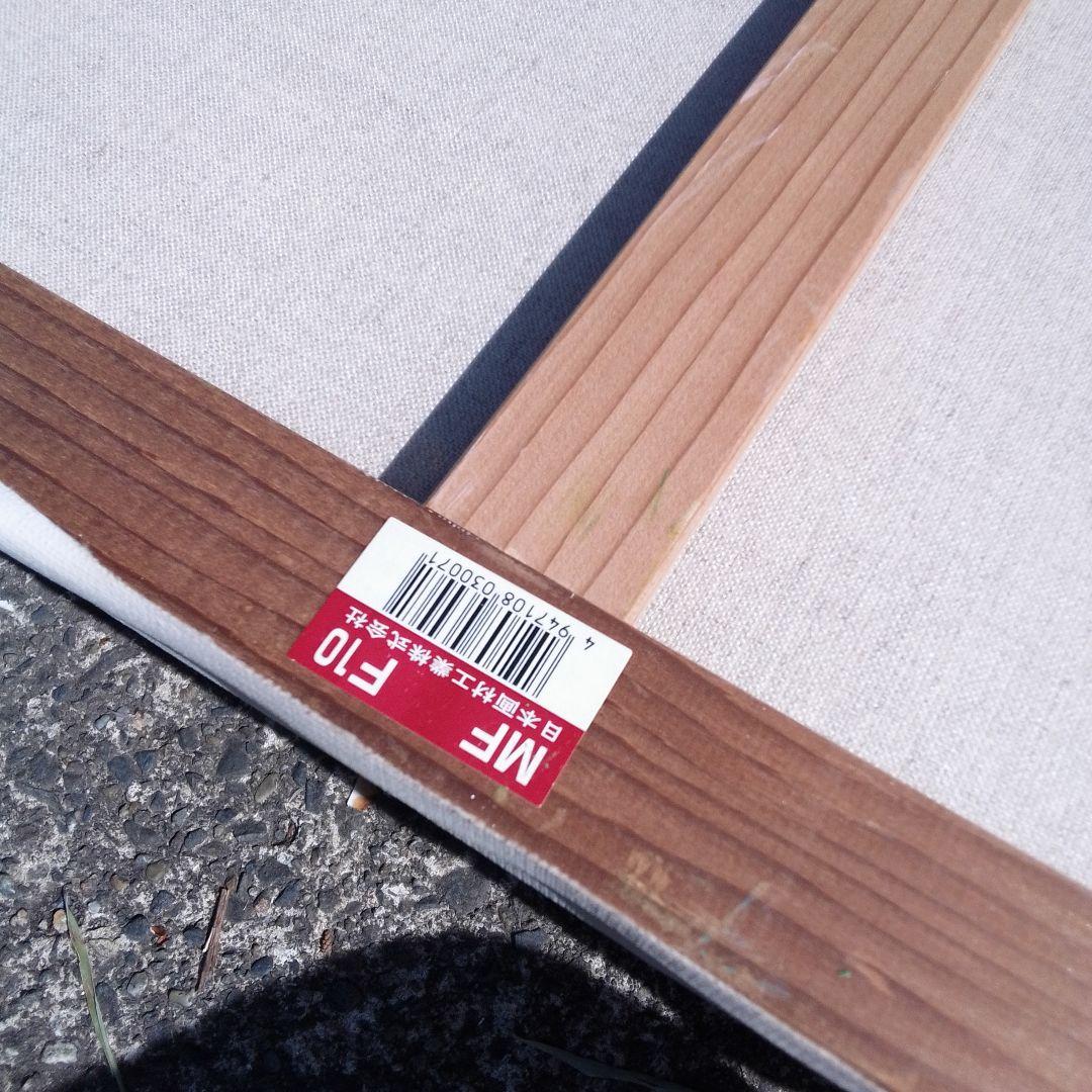 【画材】F10 キャンバス　まとめ　12枚　セット