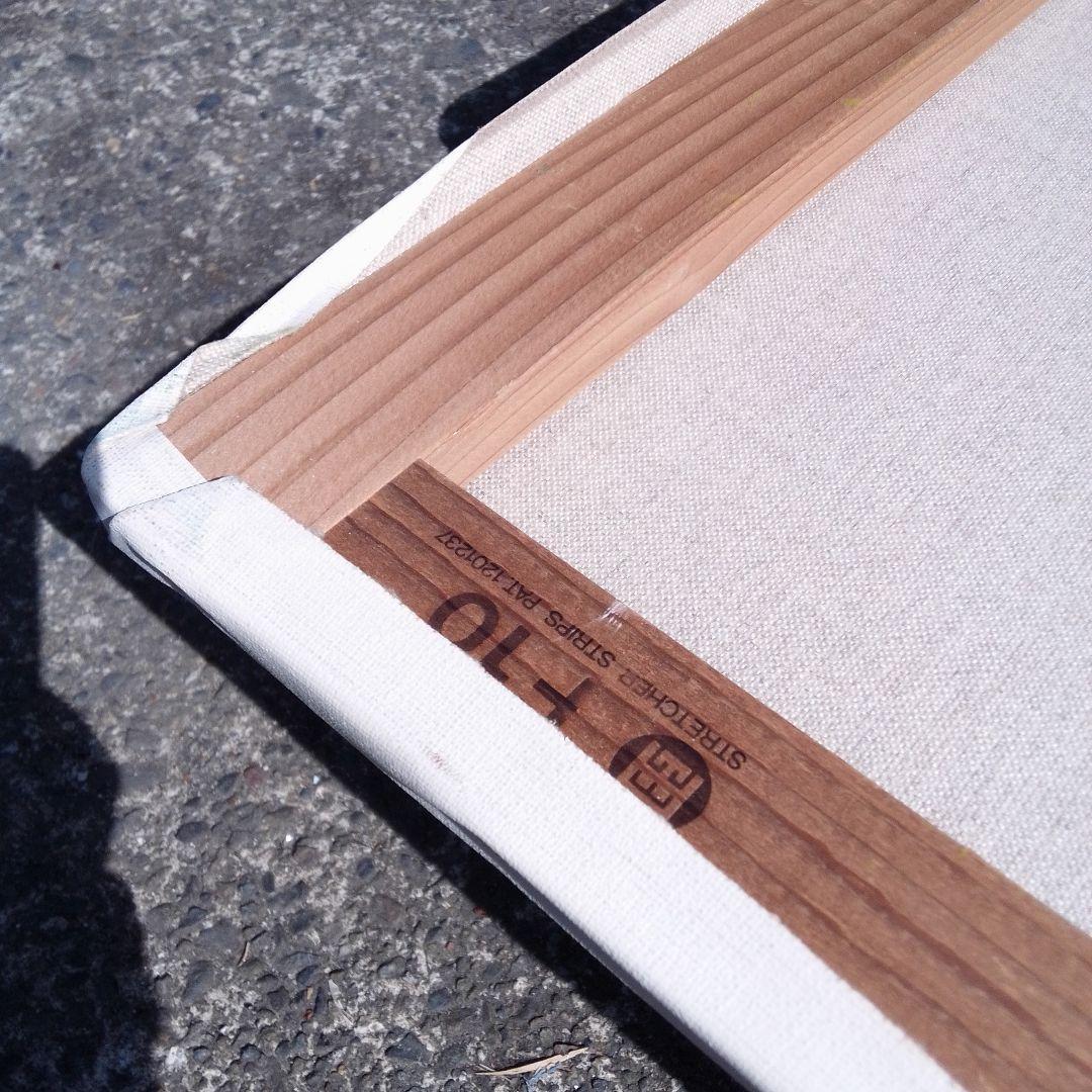 【画材】F10 キャンバス　まとめ　12枚　セット