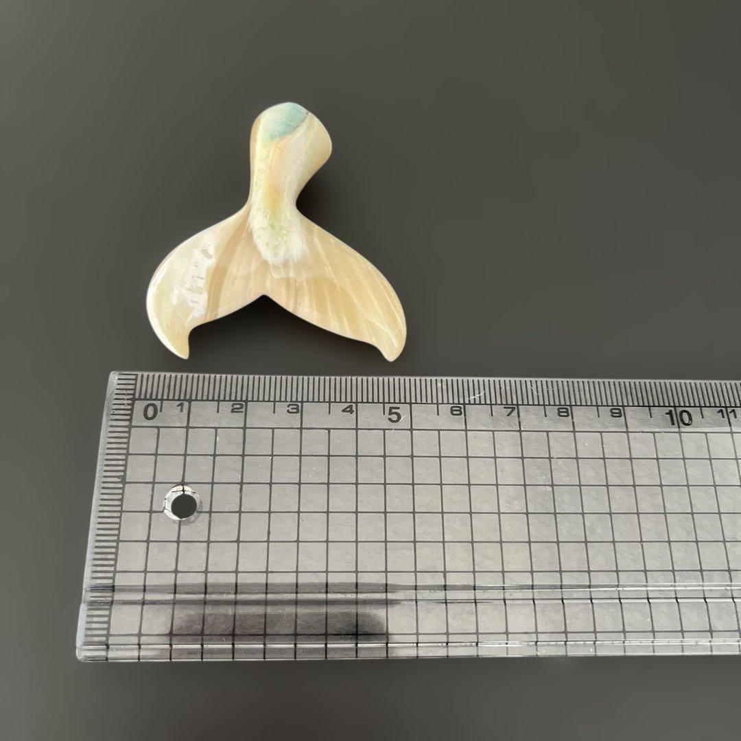 夜光貝、クジラの尾 置物 （1）