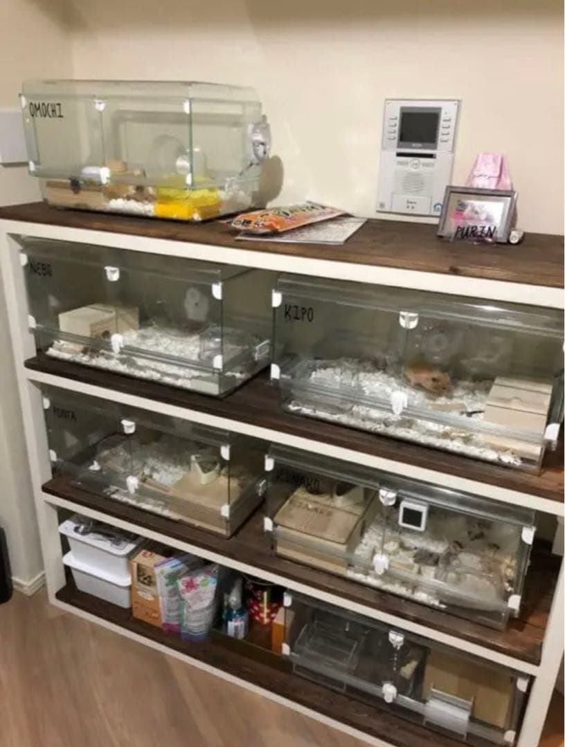 可愛いハンドメイド家具オーダー受け付けてます‼️