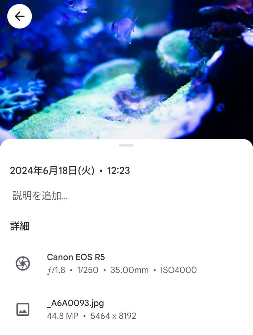 キヤノン RF35mm F1.8 MACRO IS STM