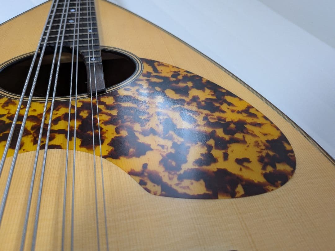 宮野厚志 マンドロンチェロ MC-1（2010年製） スーパーライトケース付