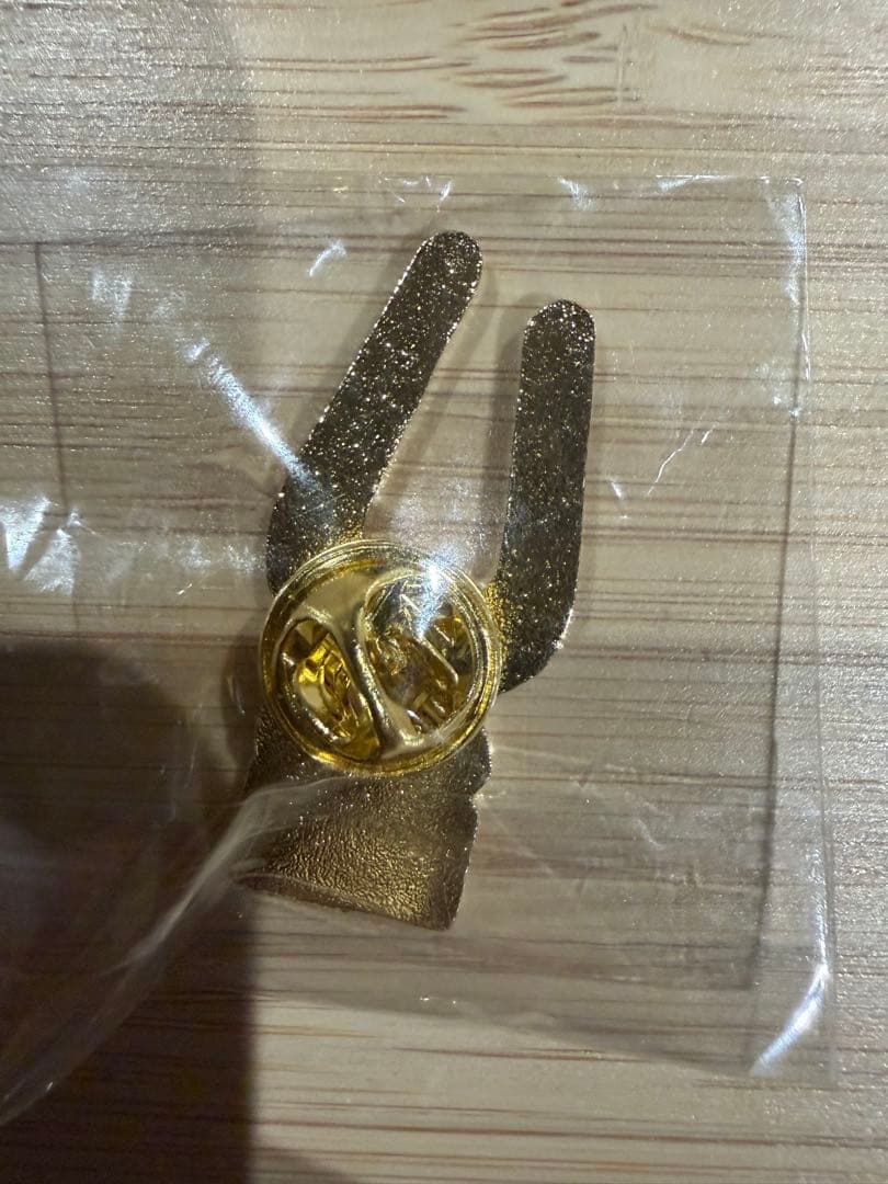 -貴重- 大阪万博　2025 ドミニカ共和国 ピンバッジ