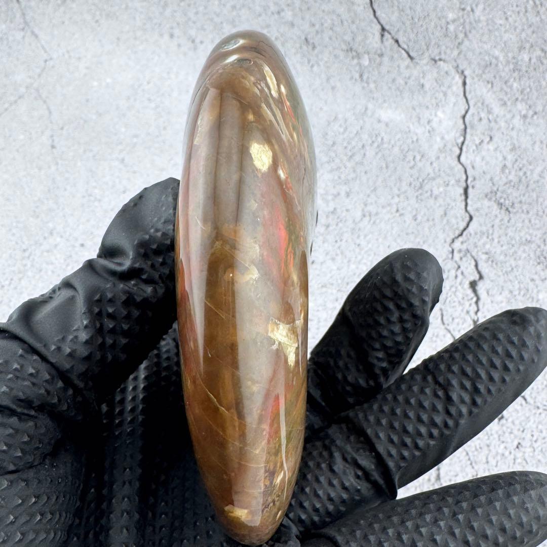 G-209 天然アンモナイト原石　游色多色アンモナイト化石 コレクション標本