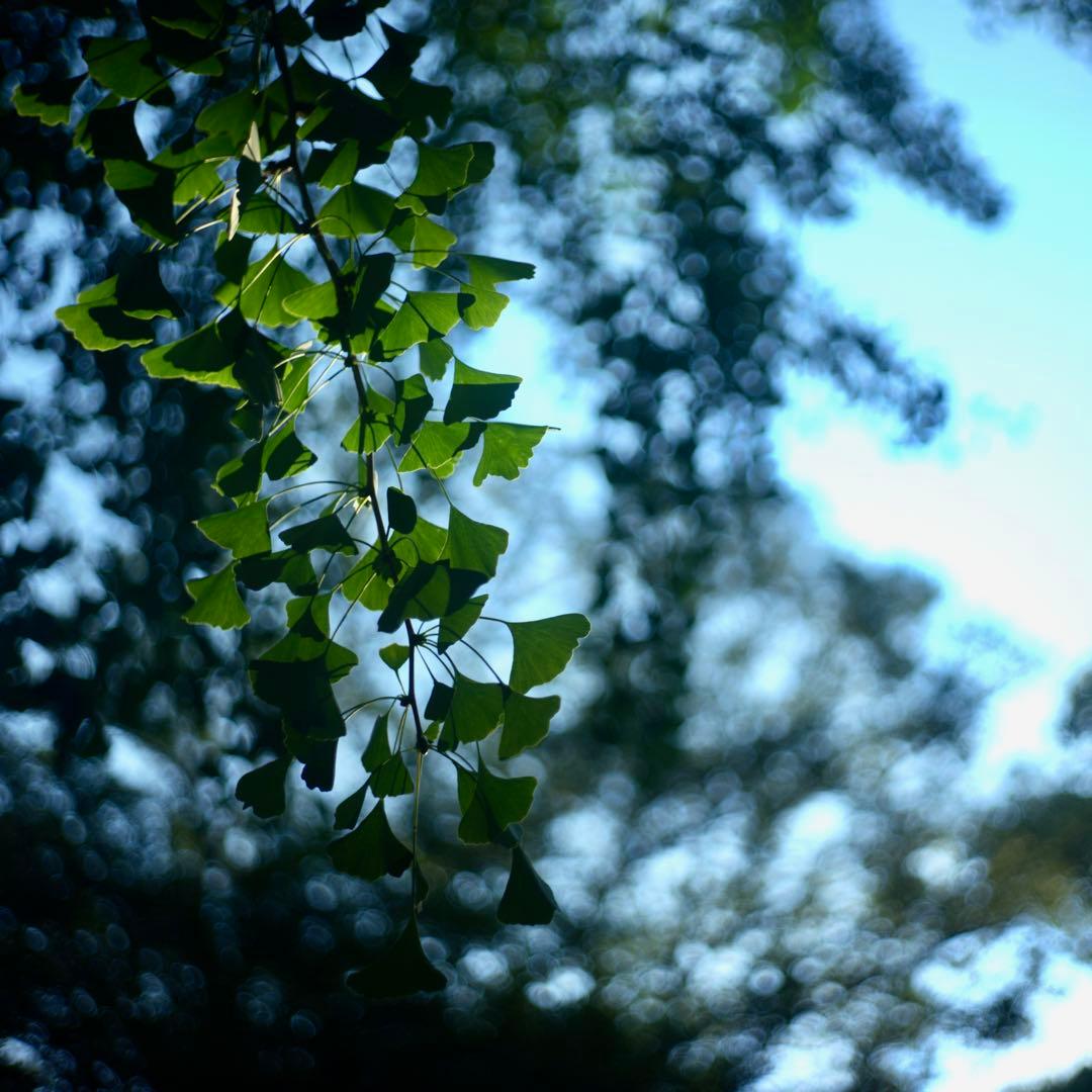 銘レンズFujinon 45mm Fujinon1.8 和製ズミクロン