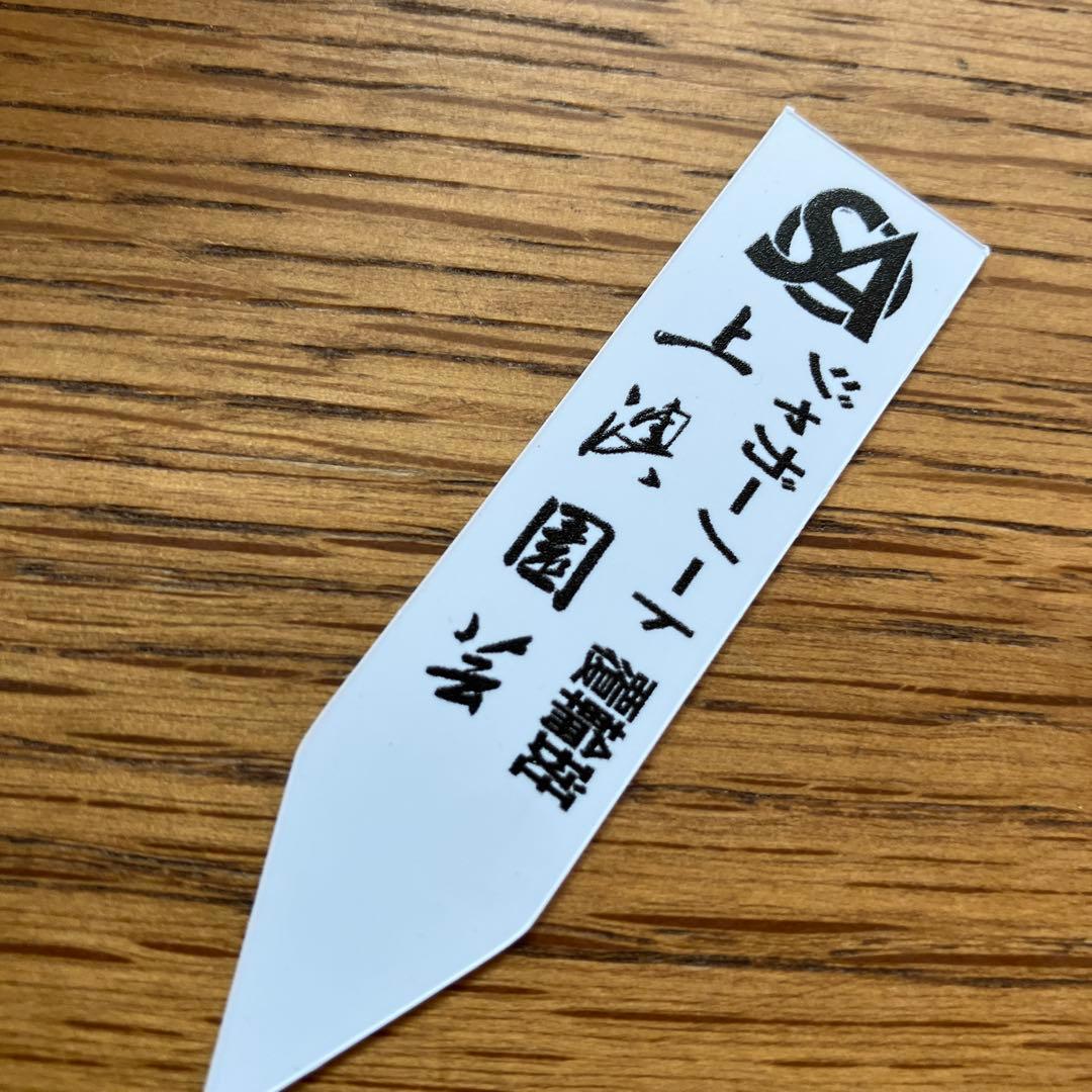 F*2様 【初売りオークション】109 特大　アガベ　　ジャガーノート錦　TC