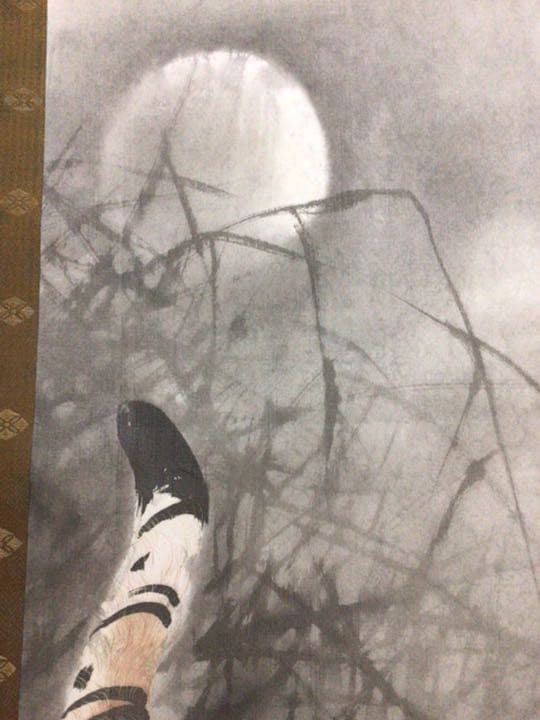 掛け軸　トラこっわ！　箱無し