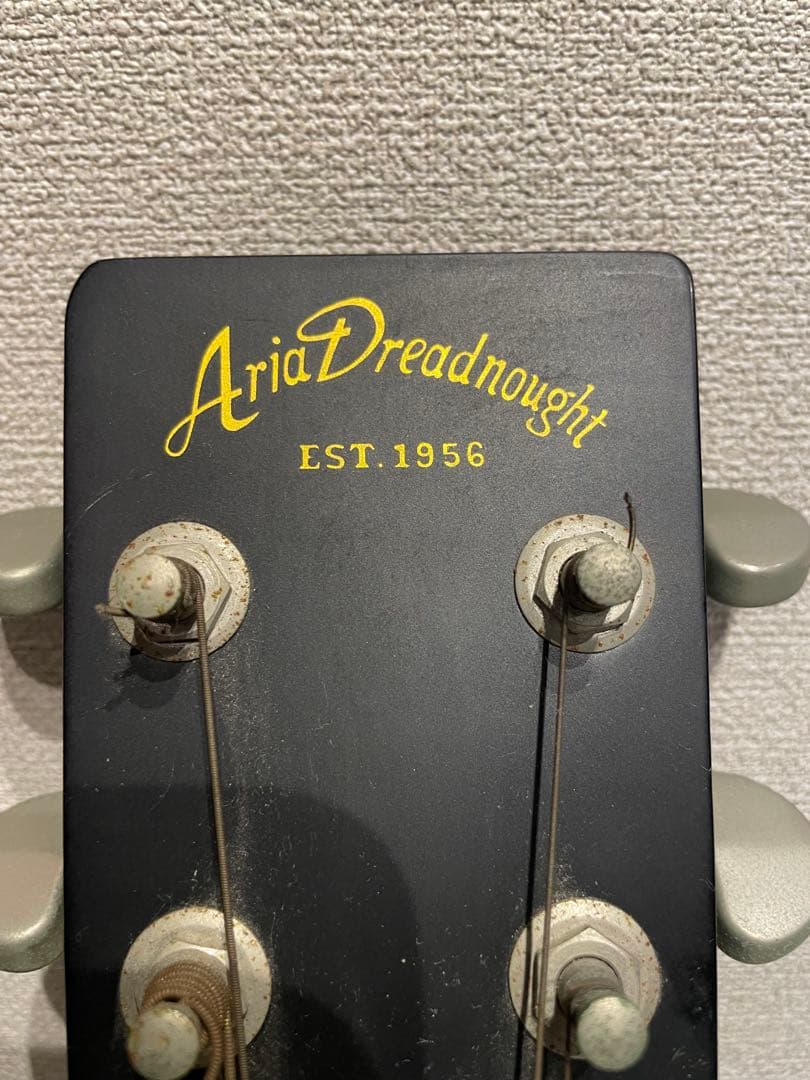 Aria Dreadnought アコースティックギター 黒
