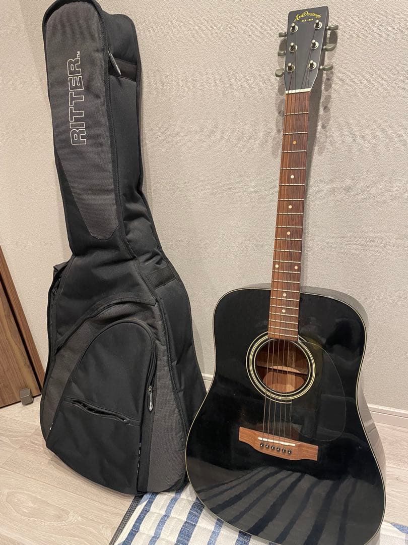 Aria Dreadnought アコースティックギター 黒