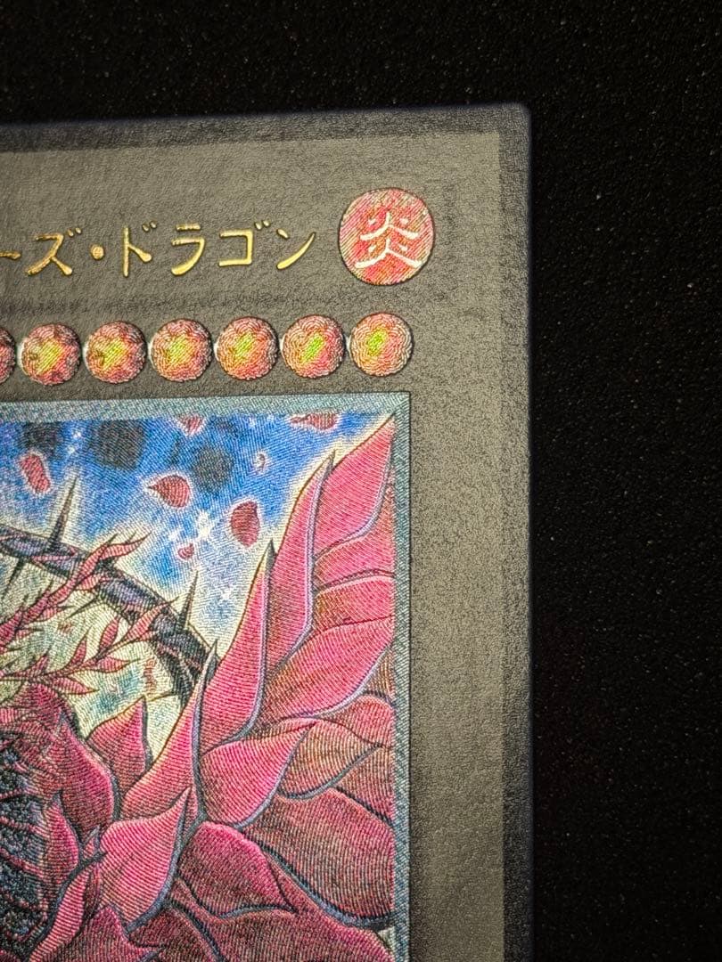 【超極美品】ブラック・ローズ・ドラゴン レリーフ