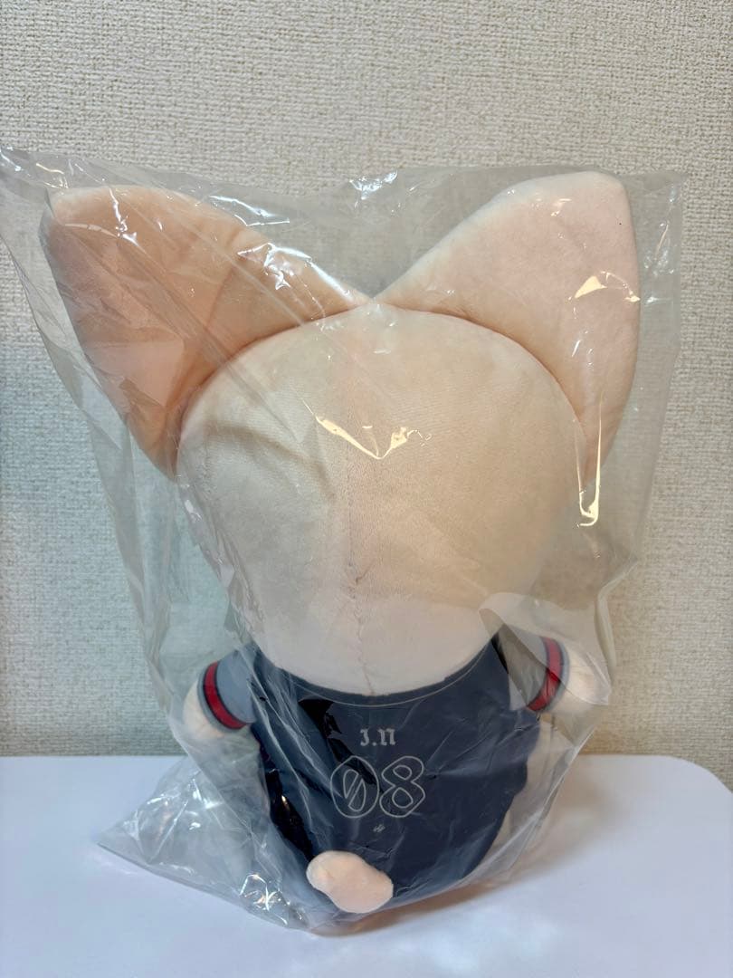 StrayKids スキズ エコパ ぬいぐるみ フォクシニーアイエンskzoo