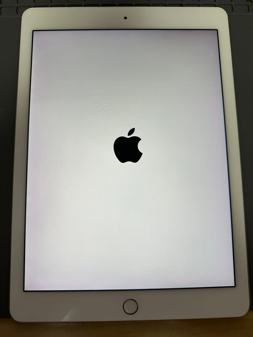 iPad Pro 9.7インチ Wi-Fi+Cellular 1