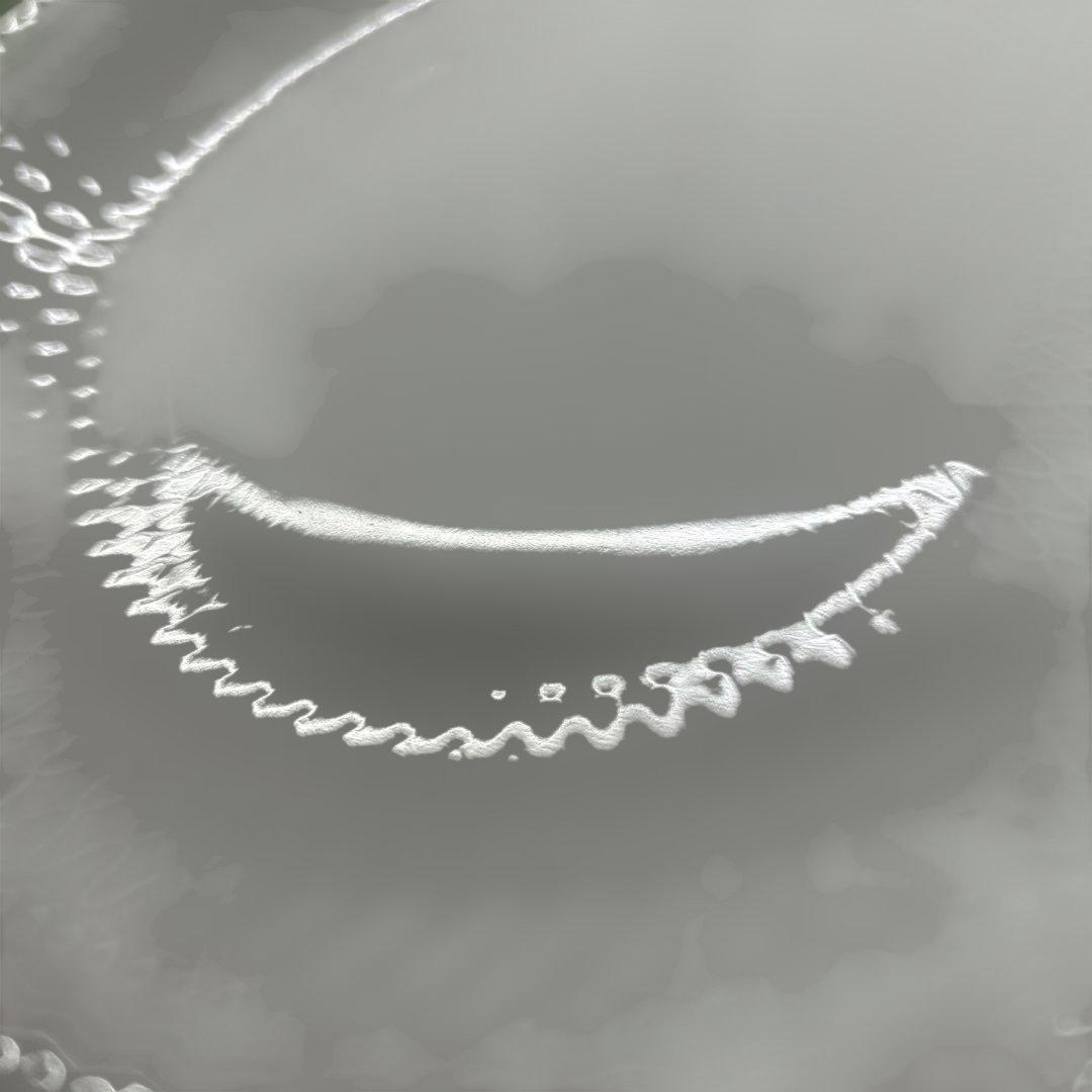 ロイヤルコペンハーゲン ロイヤル コペンハーゲン プレート 2枚セット 中古品