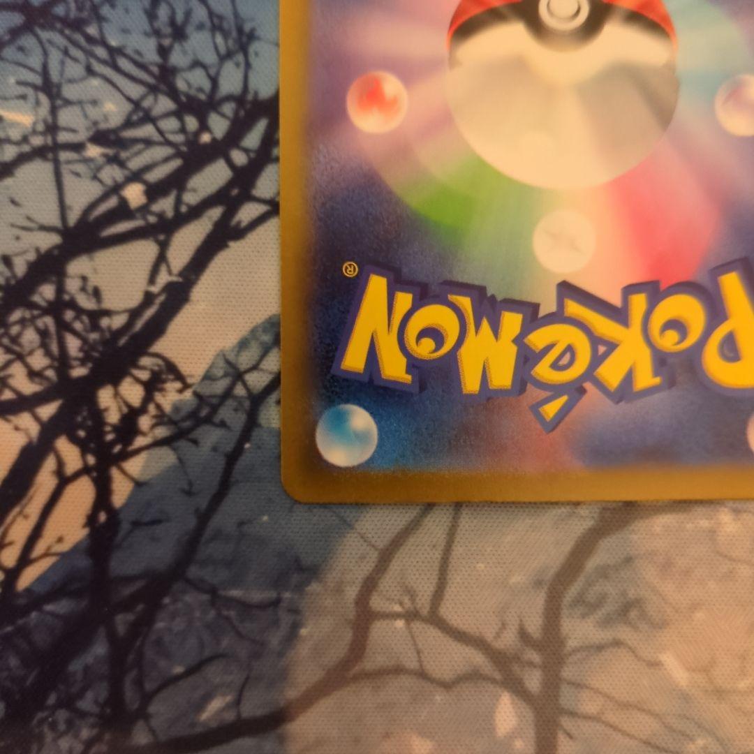 r*r様 サーナイトex348/190 SAR