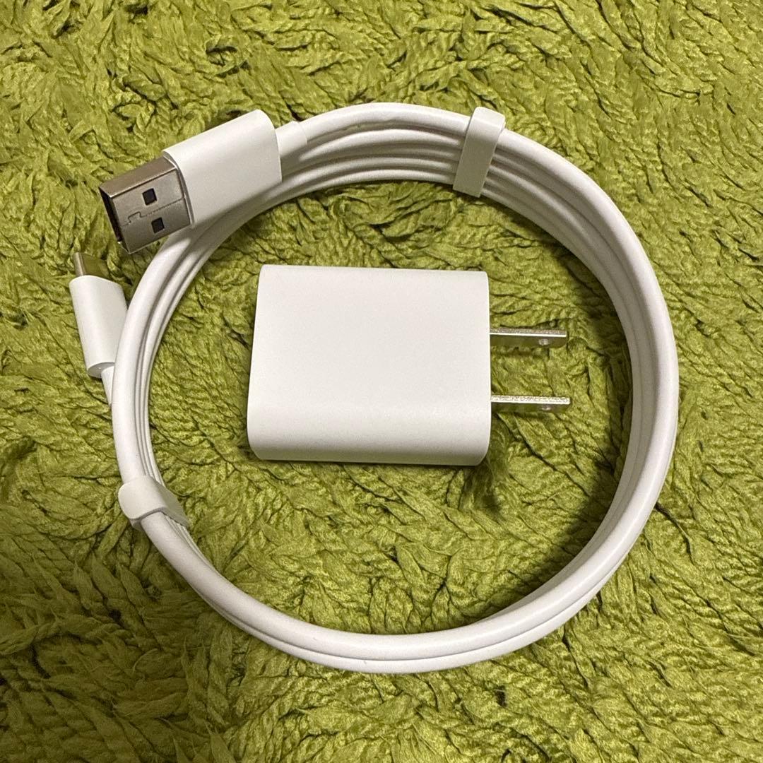 映像用ケーブル Google Chromecast 4K  GA01919-JP