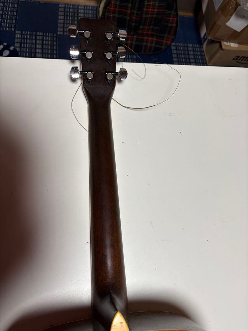 Cat's Eyes CE-300 アコースティックギター Tokai楽器