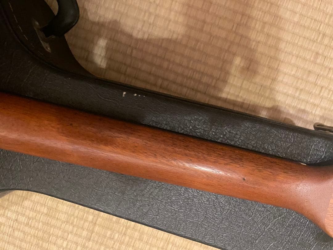 ギター Simon & Patrick S&P 6 Mahogany Spruce