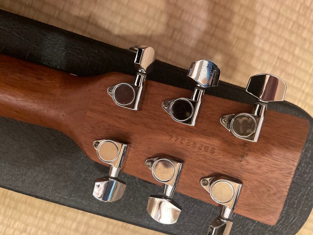 ギター Simon & Patrick S&P 6 Mahogany Spruce