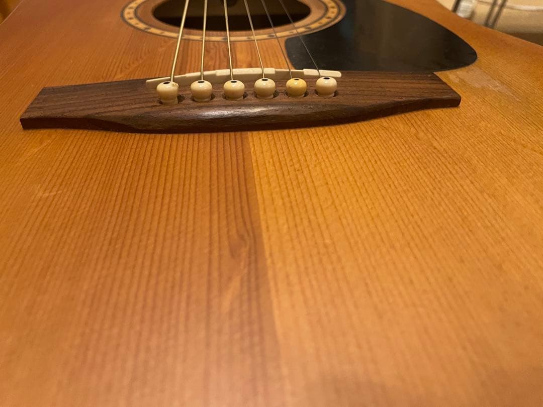 ギター Simon & Patrick S&P 6 Mahogany Spruce