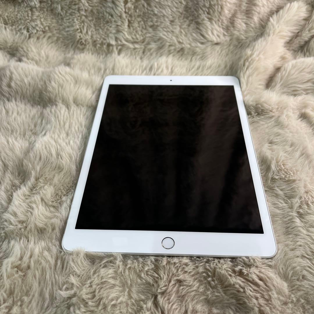 Apple iPad (第７世代) Wi-Fi + Cellular シルバー